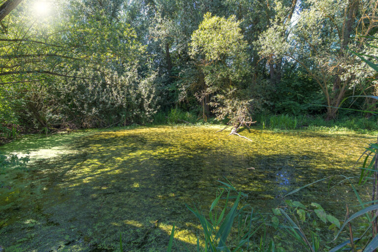 Altmühlsee Rundweg Fahrrad