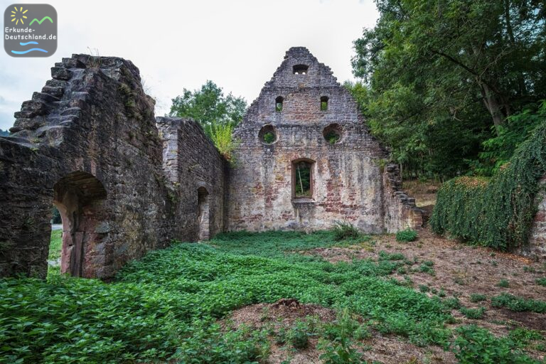 07D1C474 1C4A 42CC 9DB4 3A66B67FB232 768x512