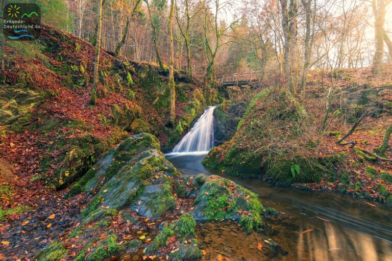 0F8E033E 10B6 4630 845C 0EFCD0E1806B 768x512