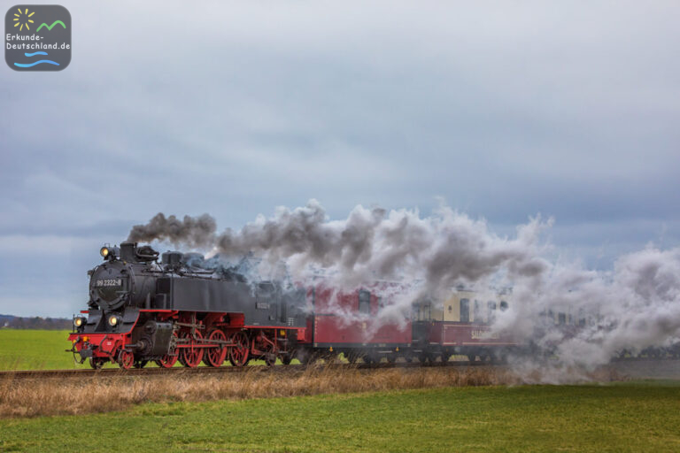 10A99250 D25D 4D5D BEEB 30EDED1B4601 768x512