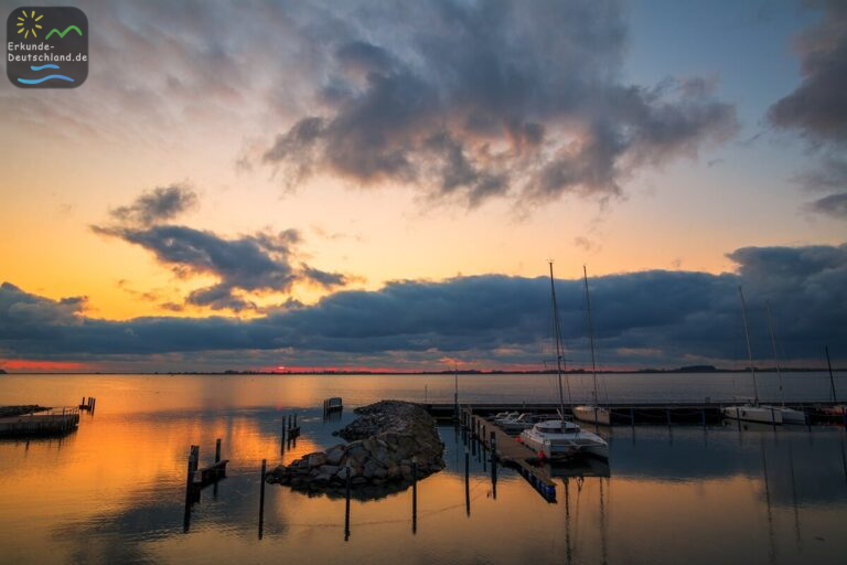 138F49B3 ADDF 4A08 8978 DFA0260A9175 768x512