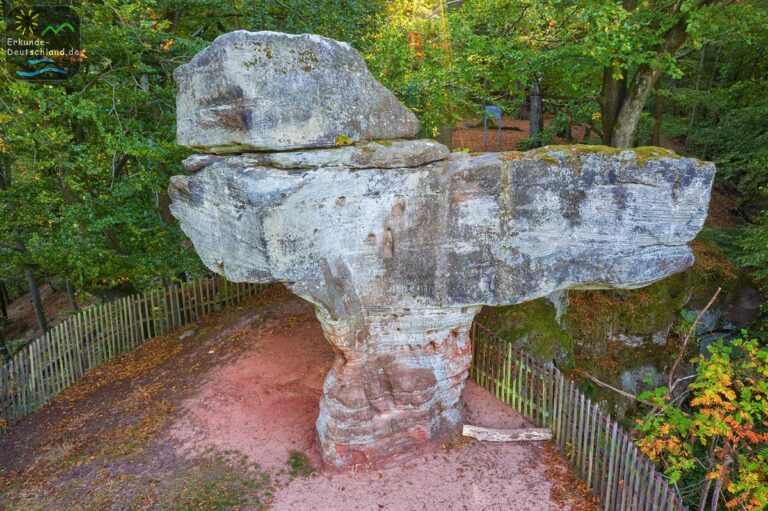 1F278D29 86BC 41DE B454 7BC71256C20E 768x511