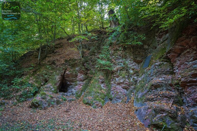 238CE65C 4978 4035 9EC5 0A6EC1617FDD 768x512