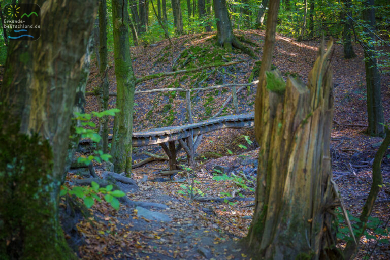 2D5F0578 B734 41F0 A756 86E3C4067F35 768x512