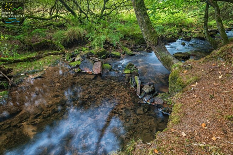 36120395 F782 4715 BE83 67A25814D8C5 768x512