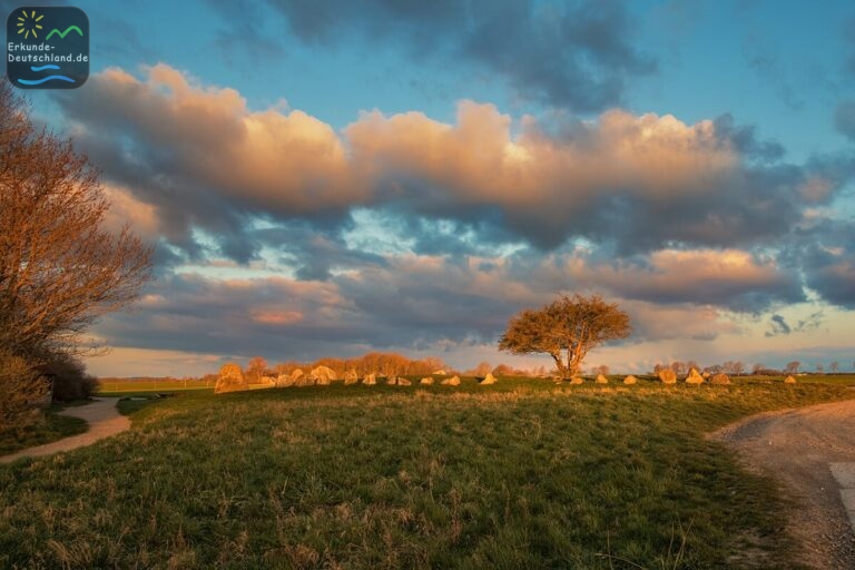 4BC2BD80 53DD 472A 9A8D A6C4E2C54D00 768x512