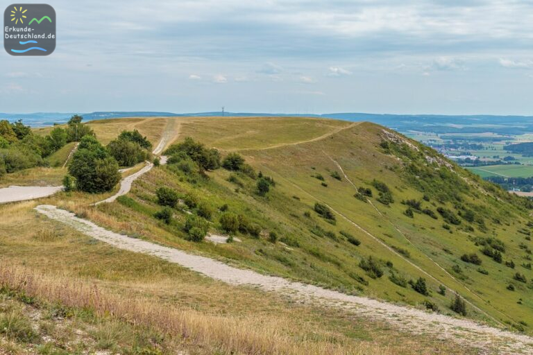 560BD103 2FAA 4FB9 BE3F ADDEF1DC9A6C 768x512