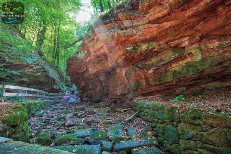 5D8F85D1 97A1 40C1 95BA D003845DE179 768x512