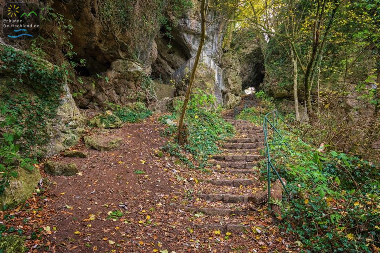 5DC9B1E9 2D83 4409 A3F1 31CFA02F548C 768x512