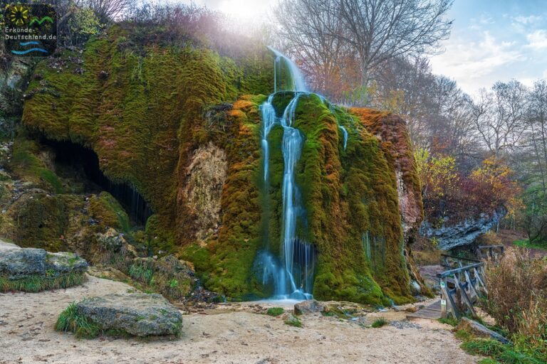 6649A3B1 D971 432A A46D 228671E02882 768x512