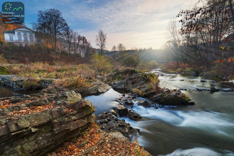 78D4D897 E450 4DA2 B723 CD11C58C266B 768x512