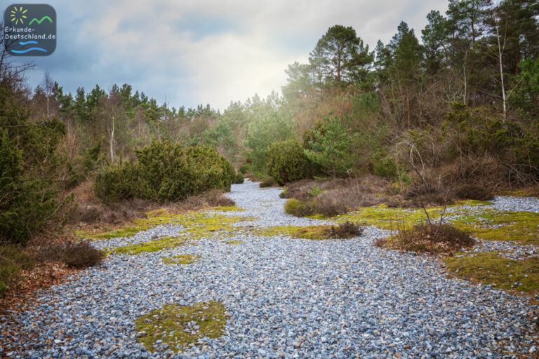 7E97ED46 6EC1 42E1 BFD1 F09383A90E50 768x512