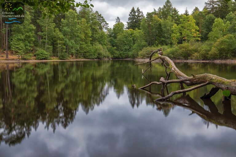 87A696CD 8392 4C0C 91B1 113206257B4B 768x512