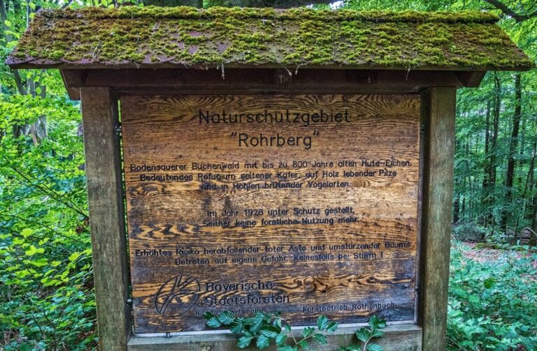 Naturschutzgebiet Rohrberg Erkunde Deutschland