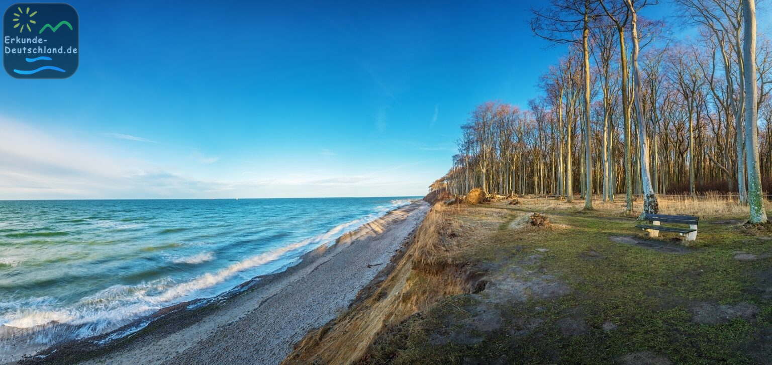 Gespensterwald Nienhagen • Erkunde Deutschland