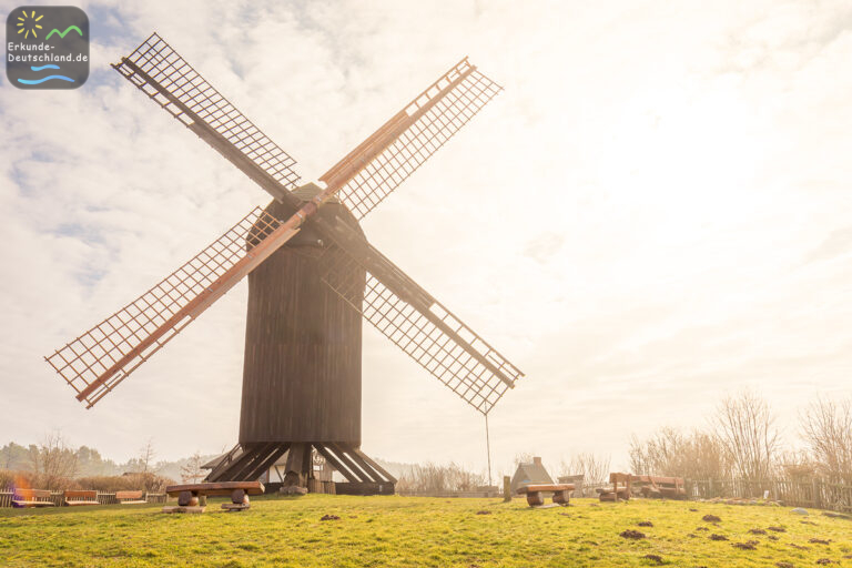 A290A729 A08B 4320 A570 888AFD813956 768x512