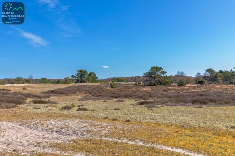 B448D53D 5CD9 48AC 9F74 CB16222870EF 768x512