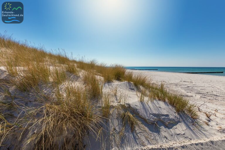 C3F01735 93EC 4DFF BAB4 0DCFD87A6AEF 768x512