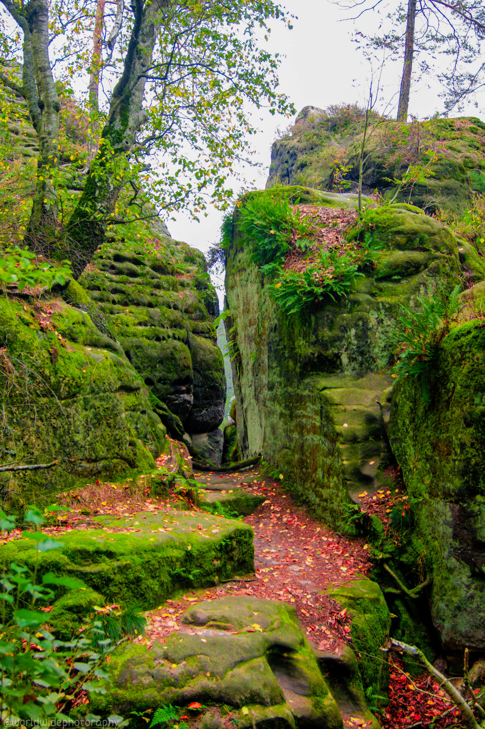 C645F3F4 3C37 4CDD 9E58 79C6751C1508 scaled 1