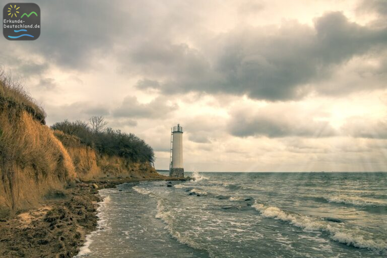 CCAACDEE 015A 4631 AB32 950510E0BF24 768x512