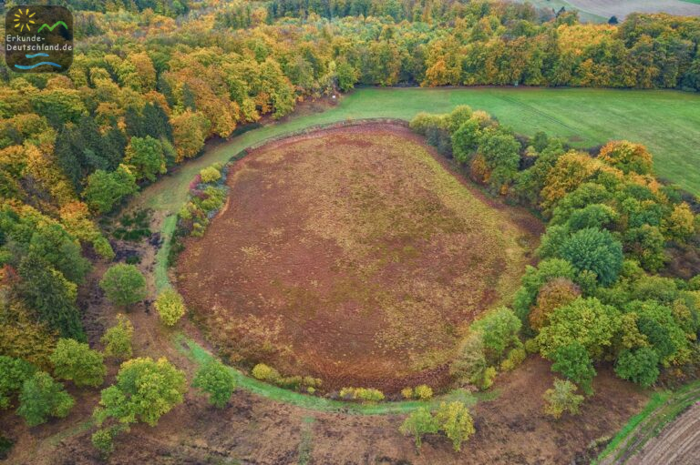 CD3FA6C9 2DC1 437C 8E4A 3C5AEB8655C9 768x511