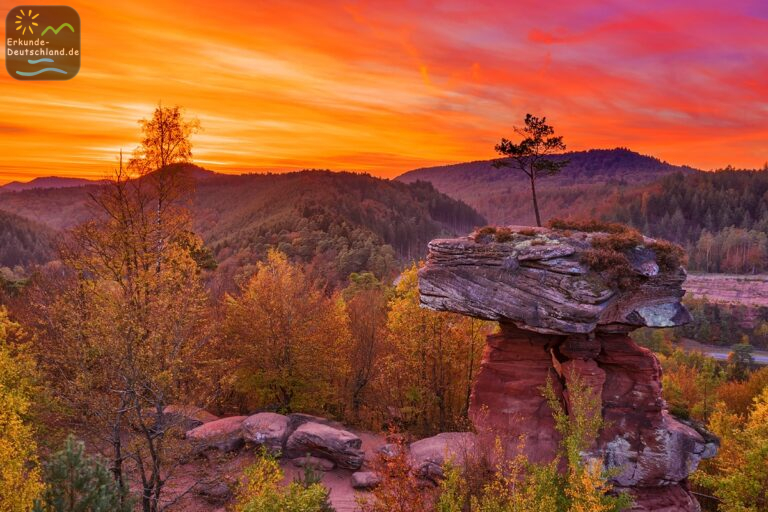 D668548C 09AA 4726 B2C6 C88903BC4066 768x512