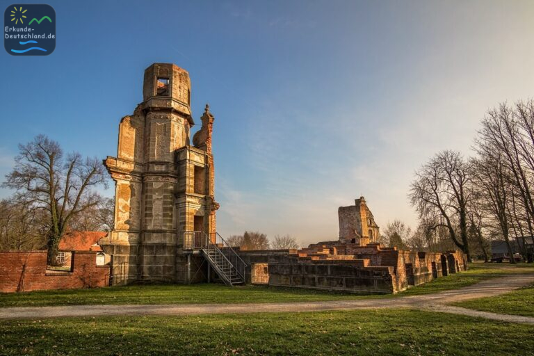 DE9AE39E 01B9 44C3 8651 344512B4EDC1 768x512