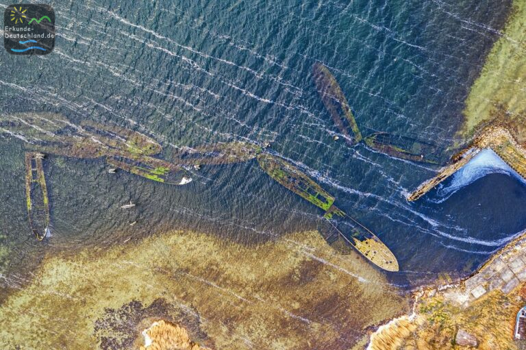 E531558C B713 41E0 9458 C02E75420579 768x511