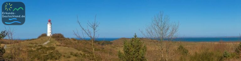 E5B11D8A C5A2 4A74 80D9 A9CACFDECD22 4 5005 c 768x195