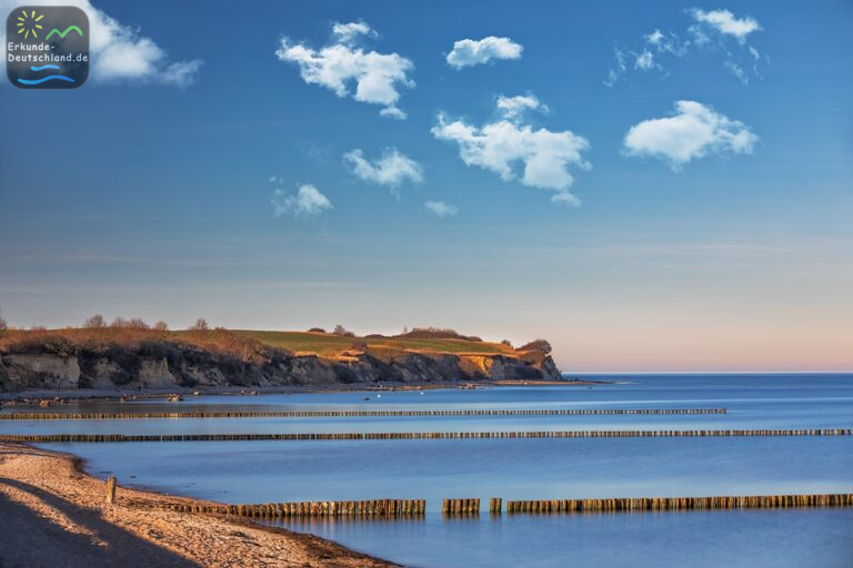 EA845BF8 A91F 45DC BE3C F939CB783629 768x512