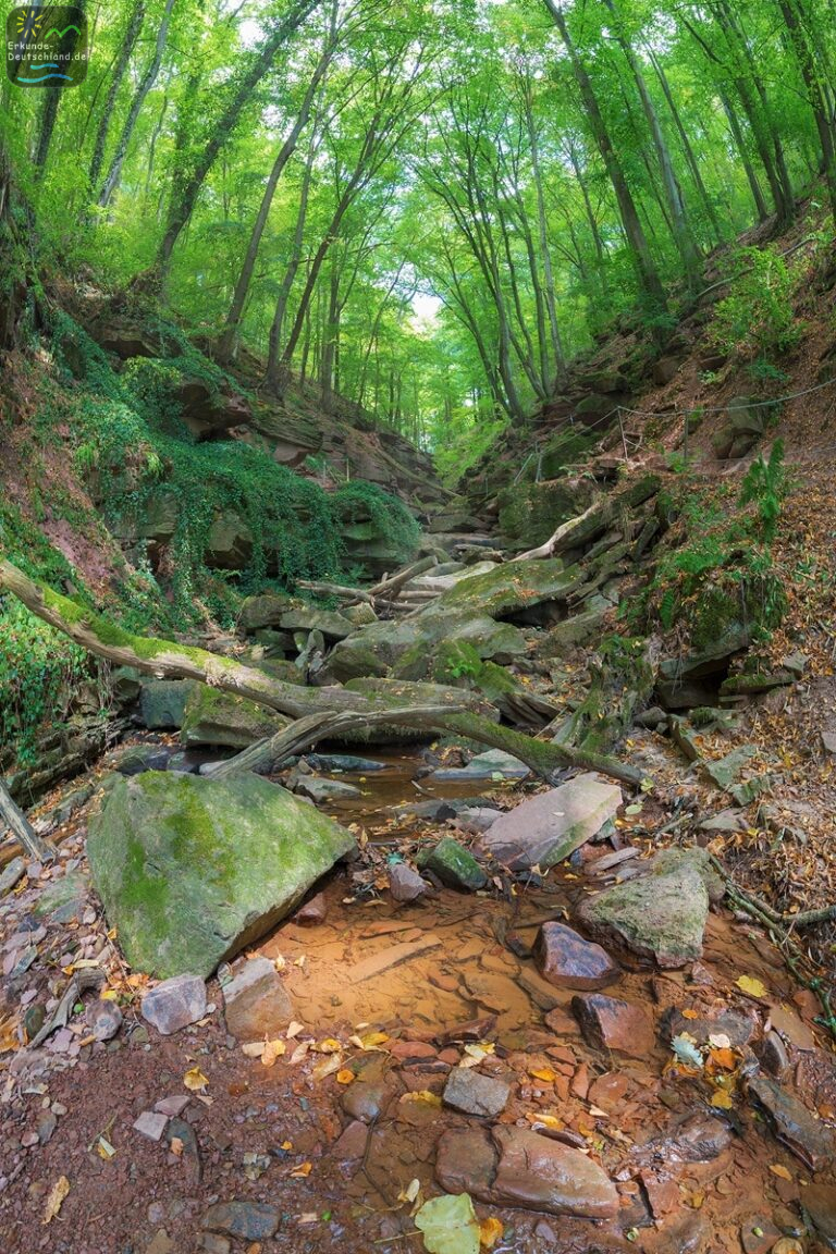 die margaretenschlucht 768x1152