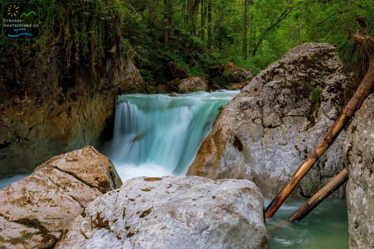 zauberwald ramsau 768x512