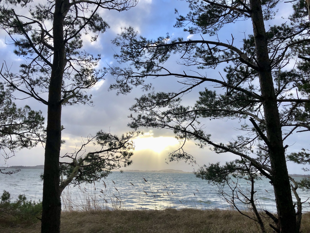 grosser Jasmunder Bodden 4392