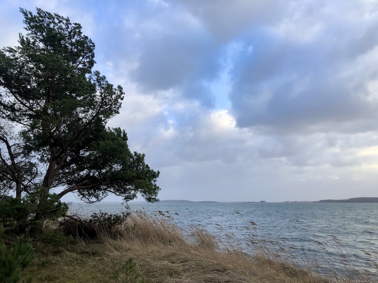 grosser Jasmunder Bodden 4396