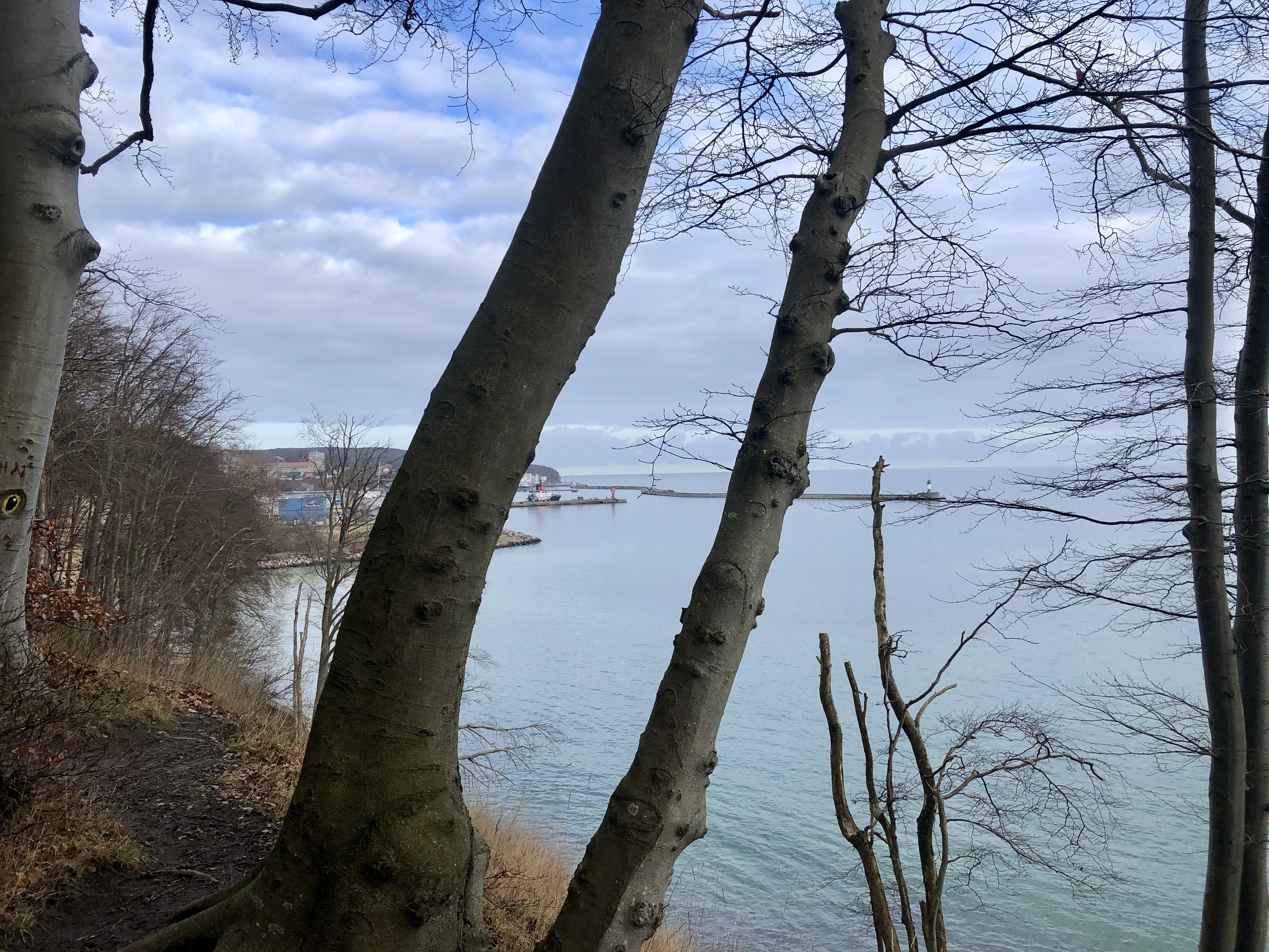 Blick von Dwasieden auf den Hafen Sassnitz