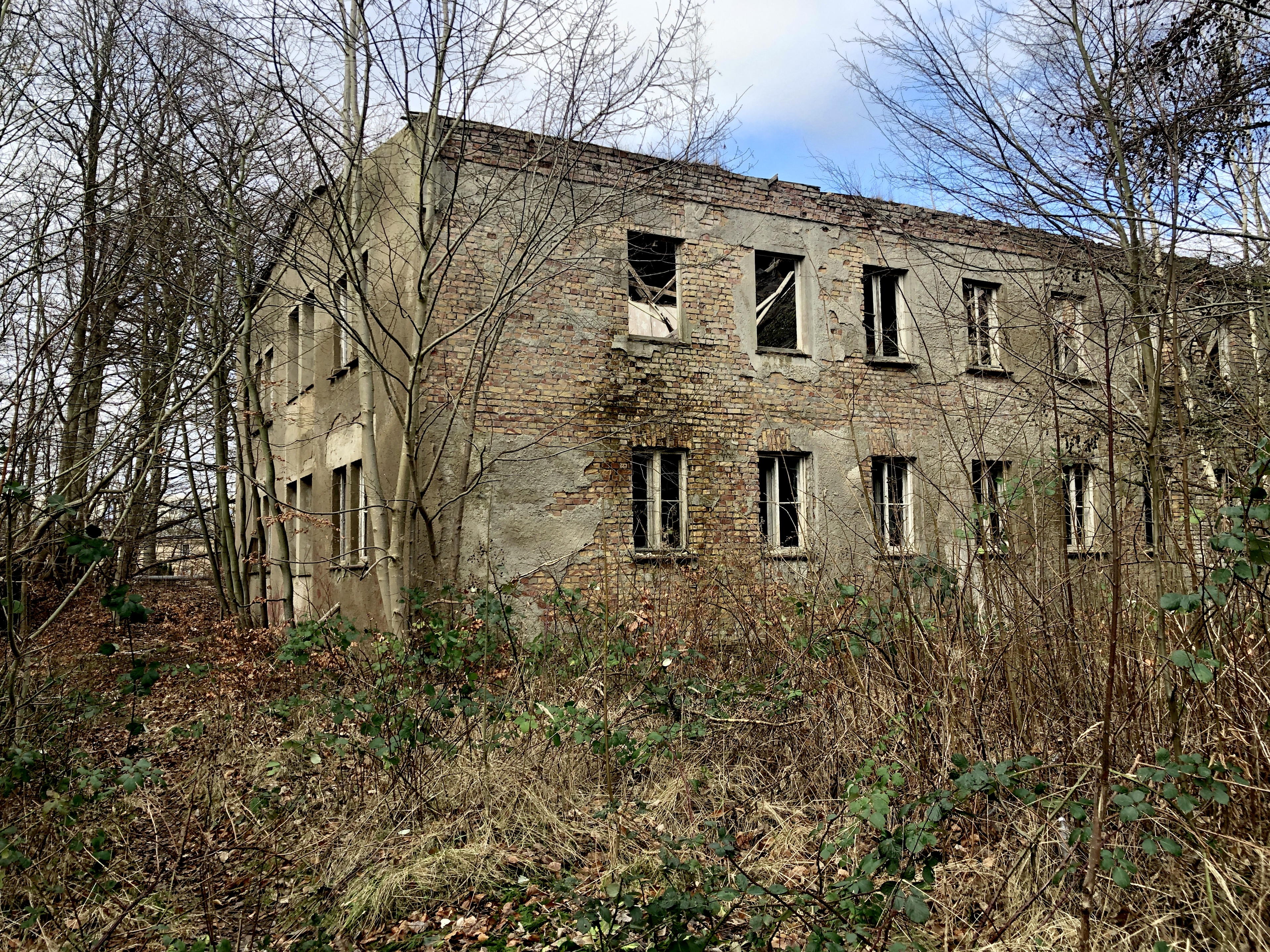 Gebaeude Wald Dwasieden