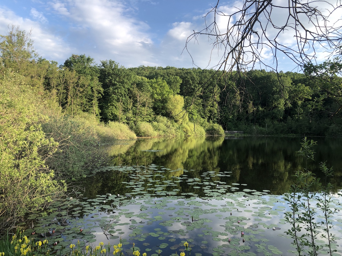 Teufelssee Berlin • Erkunde Deutschland