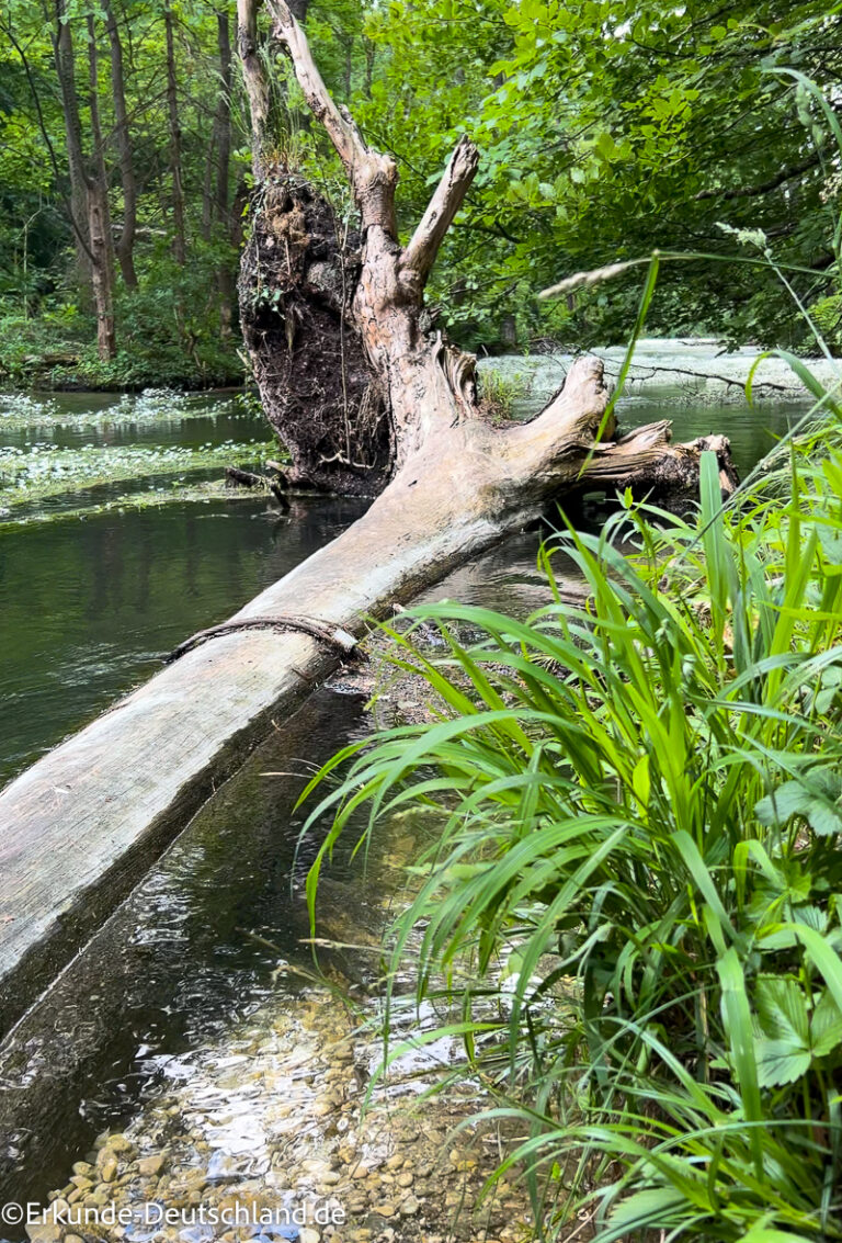Mühltal an der Würm • Erkunde Deutschland