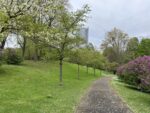 Freizeitpark Rheinaue weg Richtung Japanischer Garten 150x113