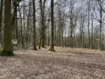 Wildpark Wiehl IMG 2579 150x113