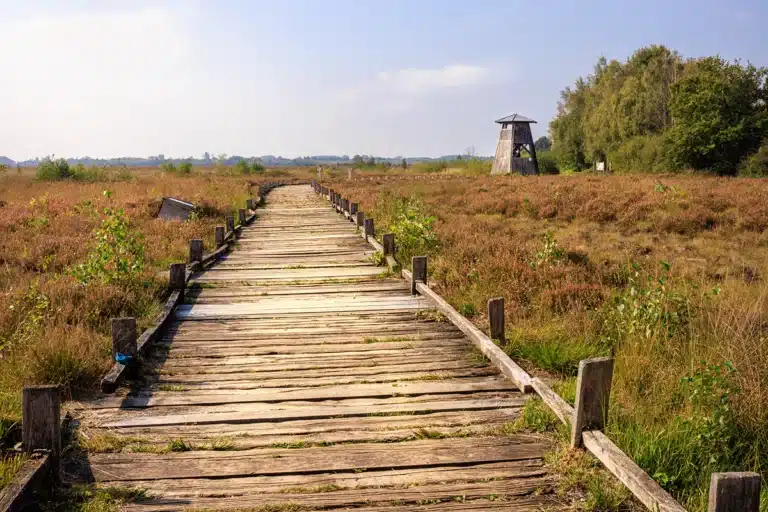 Aussichtsturm im grossen Torfmoor 768x512