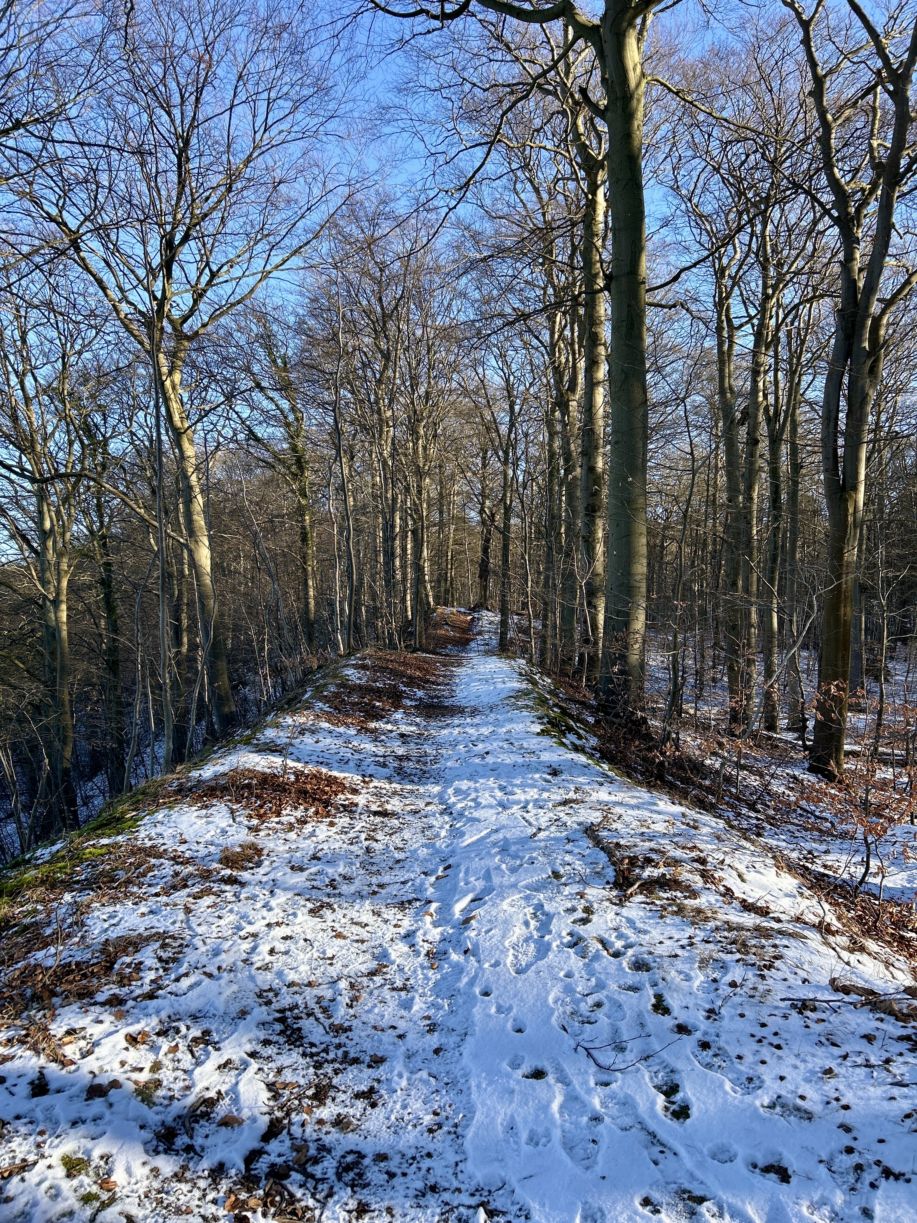 Hochuferweg Binz und Teufelsschlucht Erkunde Deutschland40