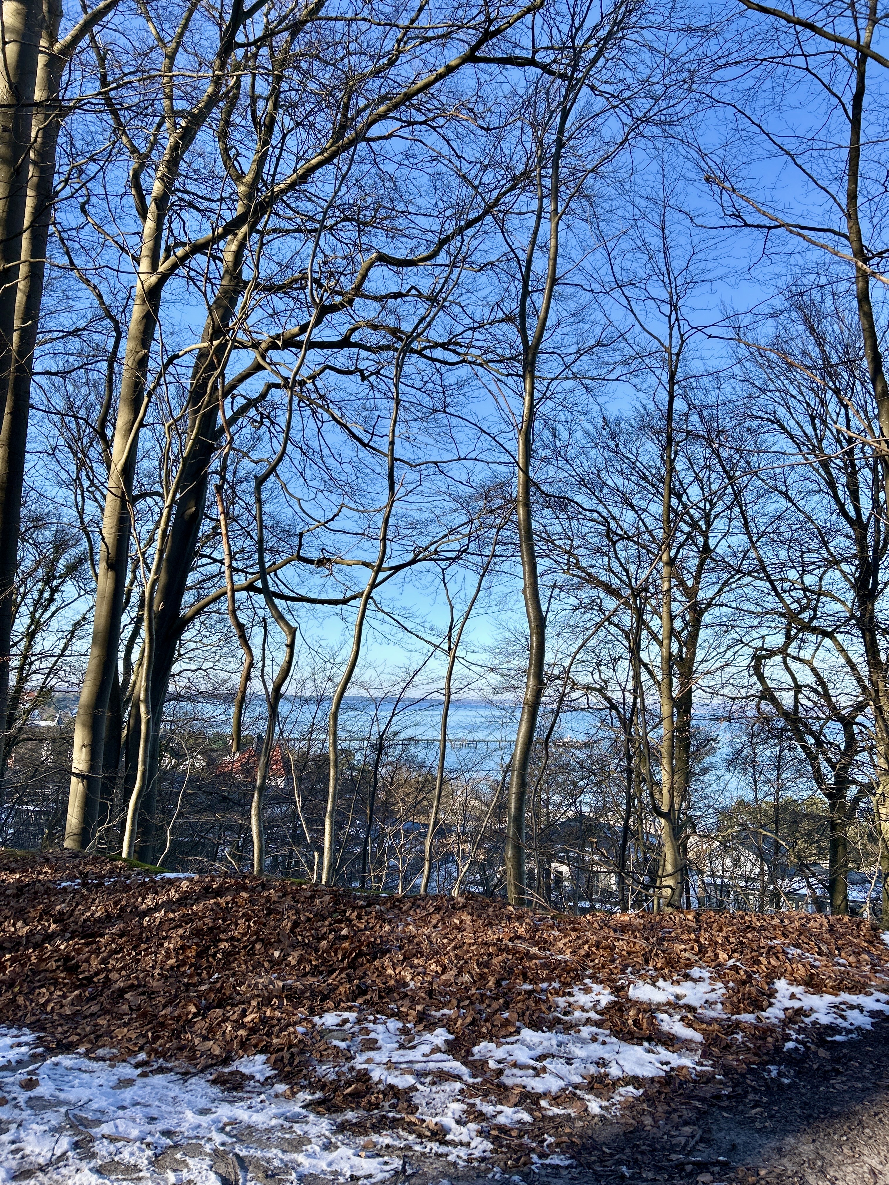 Hochuferweg Binz und Teufelsschlucht Erkunde Deutschland6D2