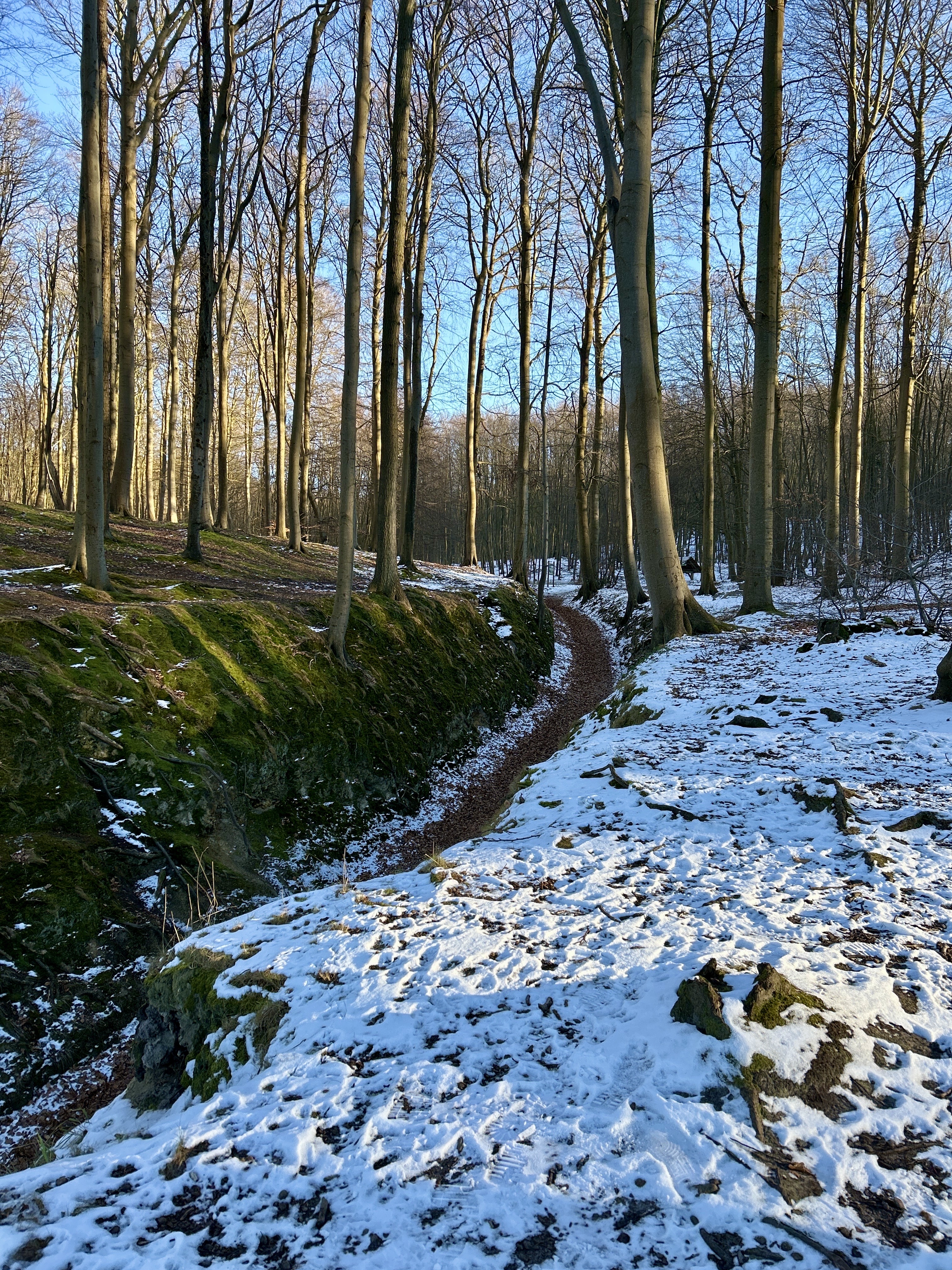 Hochuferweg Binz und Teufelsschlucht Erkunde Deutschland89E
