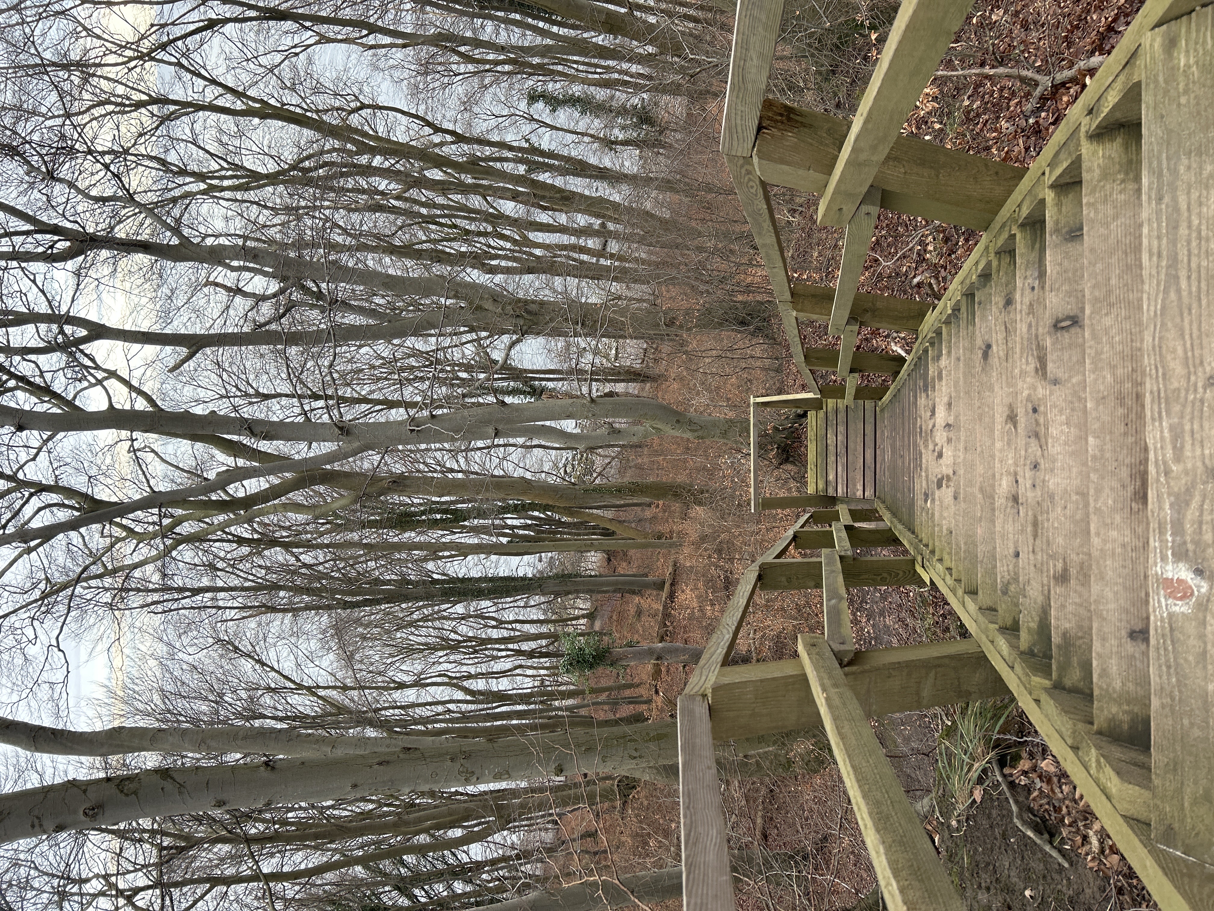 Lohme auf Ruegen Erkunde Deutschland0EDB5A11 8660 4EFA B9E4 9D883BE83FE5 68567 00000CE8059BCA91