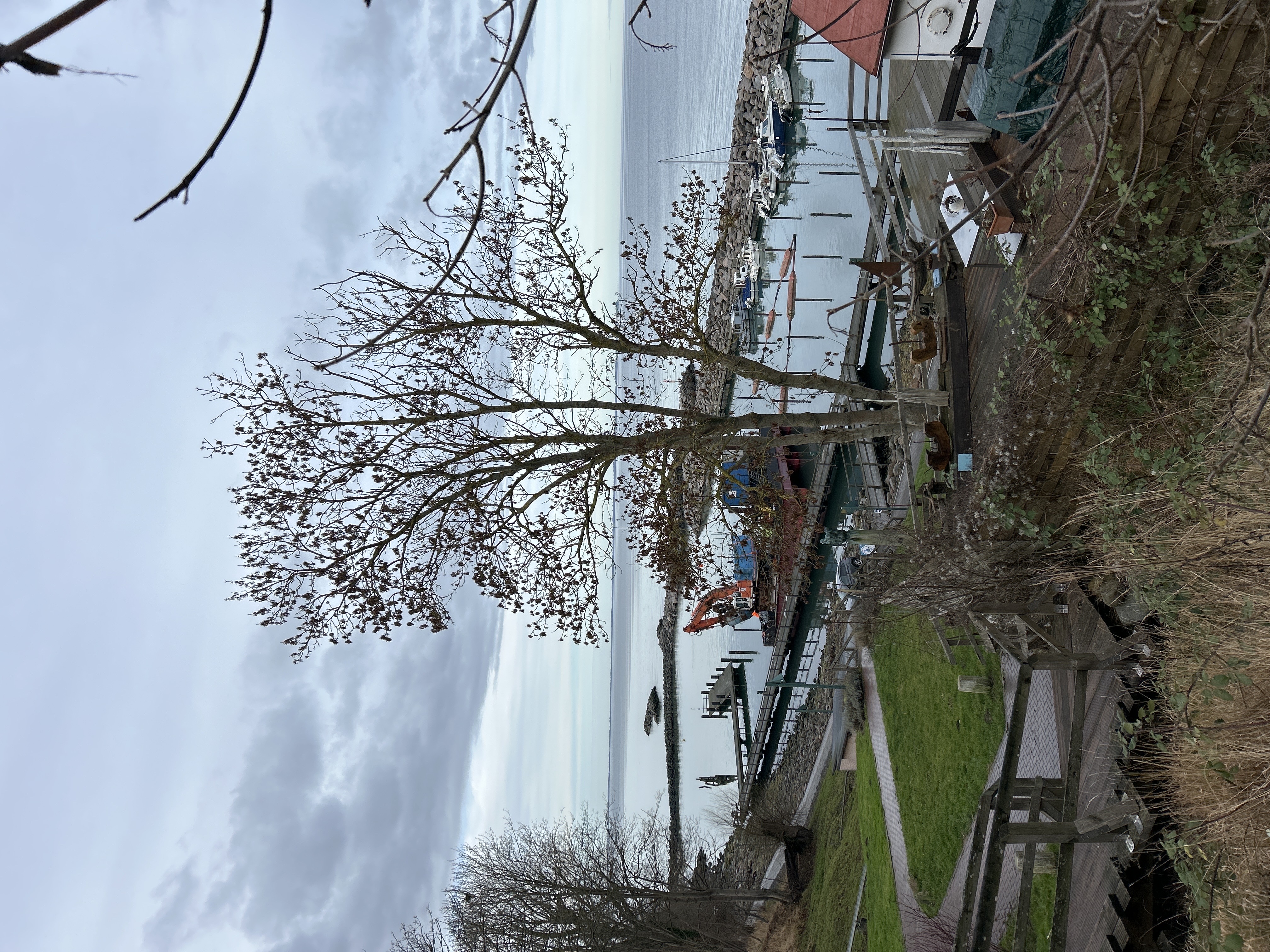 Lohme auf Ruegen Erkunde DeutschlandAAA7CE0D EA40 4168 9DC9 388680C604C0 68567 00000CBA93D0F694