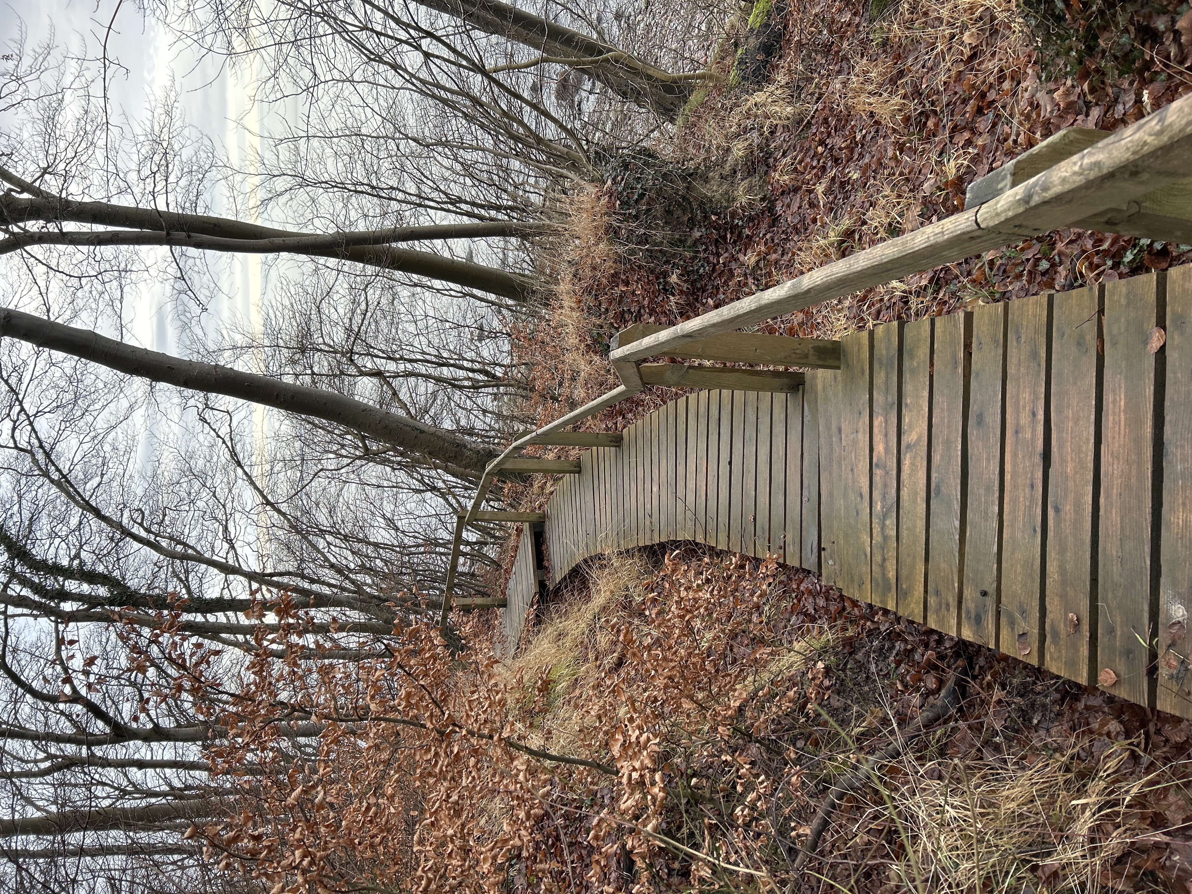 Lohme auf Ruegen Erkunde DeutschlandAC22937F 2DE2 43ED 8A6A AE71481FDC53 68567 00000CDFC8E8C19D