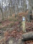 Lohme auf Ruegen Erkunde DeutschlandDE293712 2A53 4209 B73B 4C2B1382A098 68567 00000CD8BAB953E4 113x150