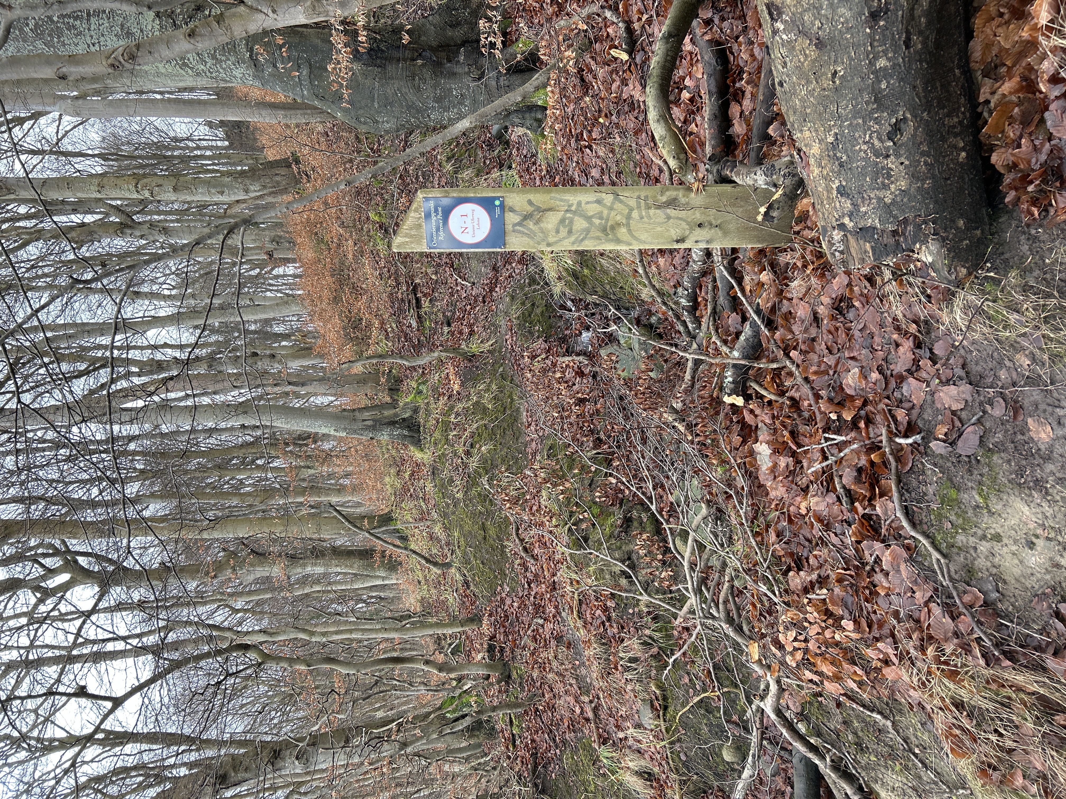 Lohme auf Ruegen Erkunde DeutschlandDE293712 2A53 4209 B73B 4C2B1382A098 68567 00000CD8BAB953E4