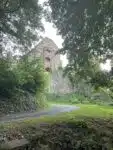 Minneburg Burgruine Neckargerach Erkunde Deutschland1 113x150